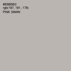#BBB5B2 - Pink Swan Color Image